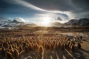 世界的盡頭 – 南極極地攝影旅行團